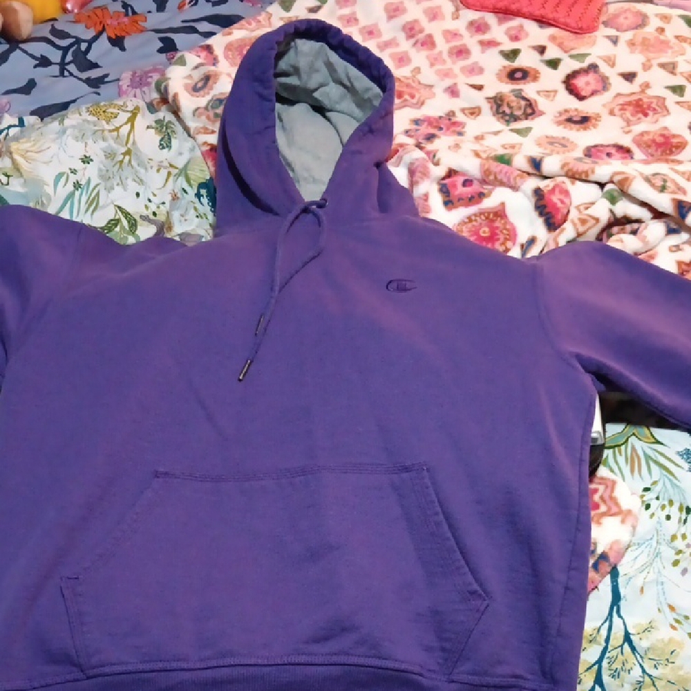 Champion Men's Purple Hoodie